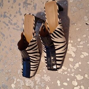 CIRCUS NY Zebra mules